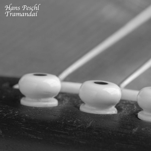 xxxxx黄色毛毛片
