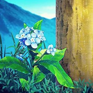 xxxxx黄色毛毛片
