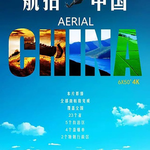 xxxxx黄色毛毛片
